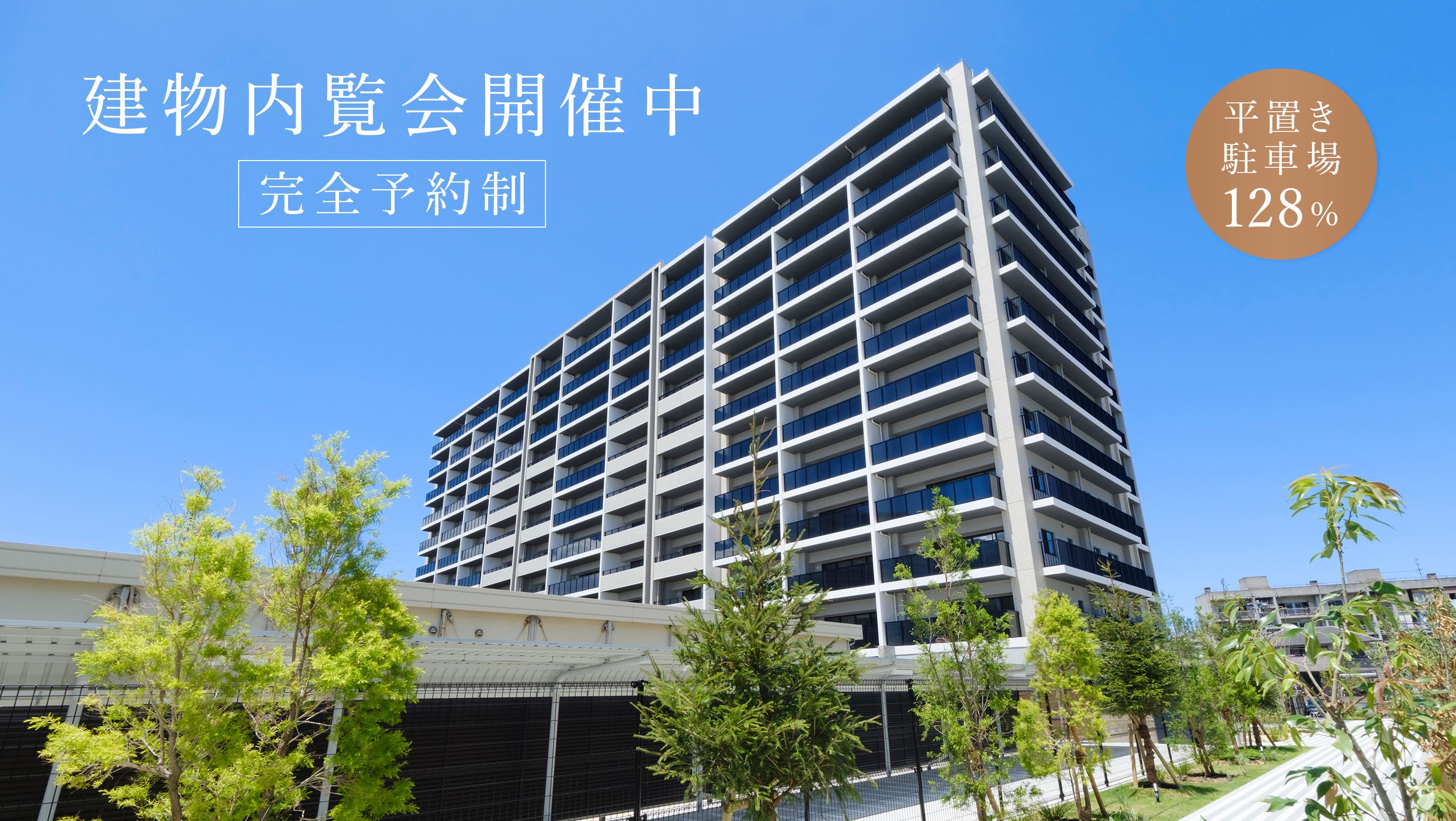 動画終了後の静止画